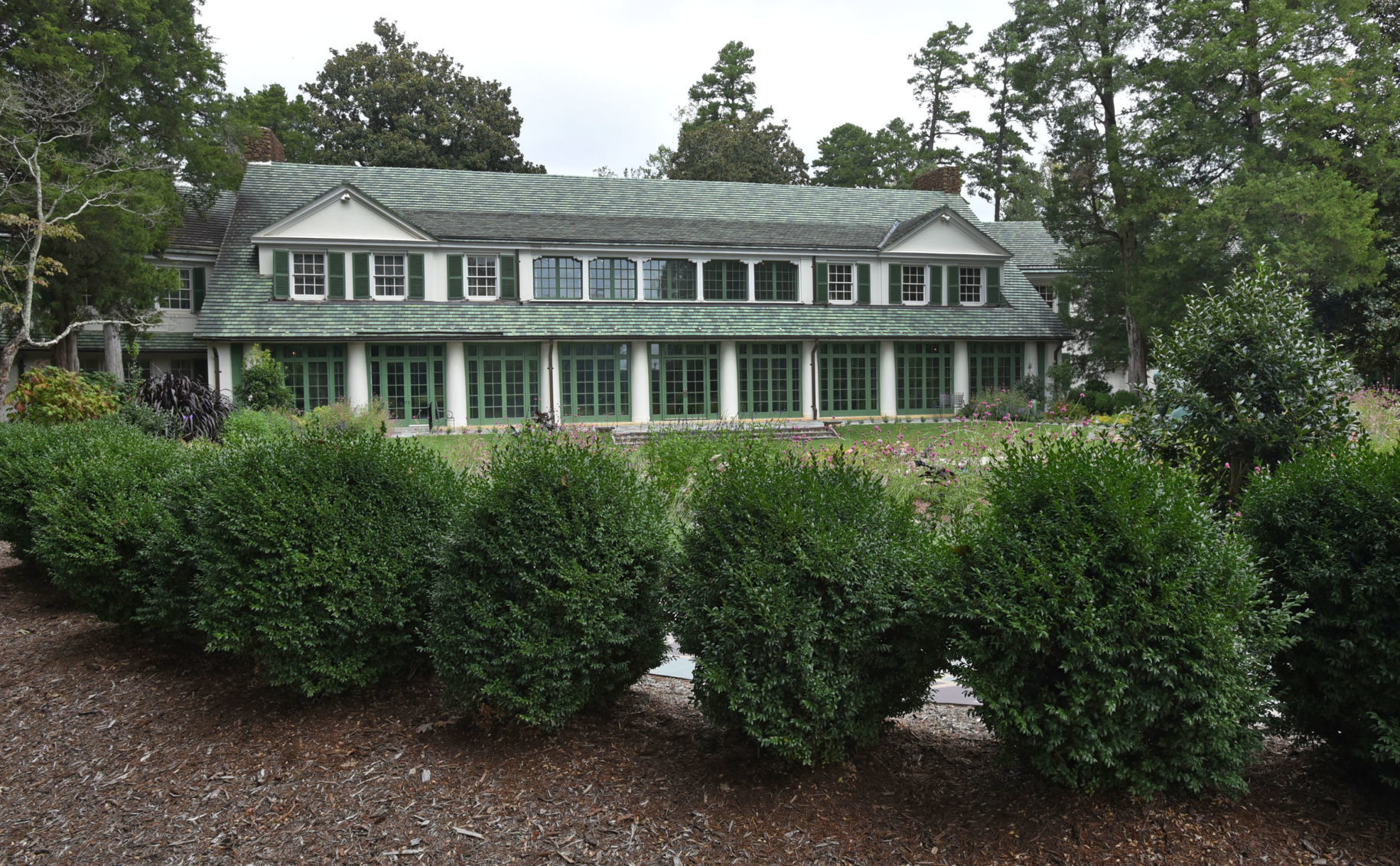 Reynolda Boxwoods